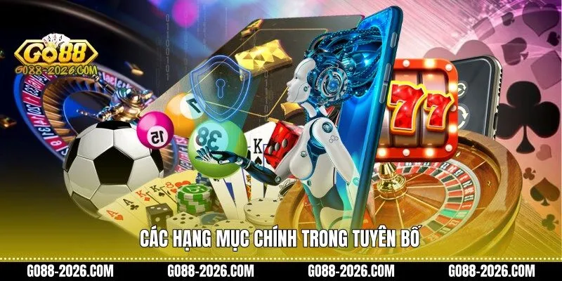 Các hạng mục chính trong tuyên bố