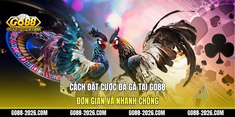 Cách đặt cược đá gà tại Go88 đơn giản và nhanh chóng