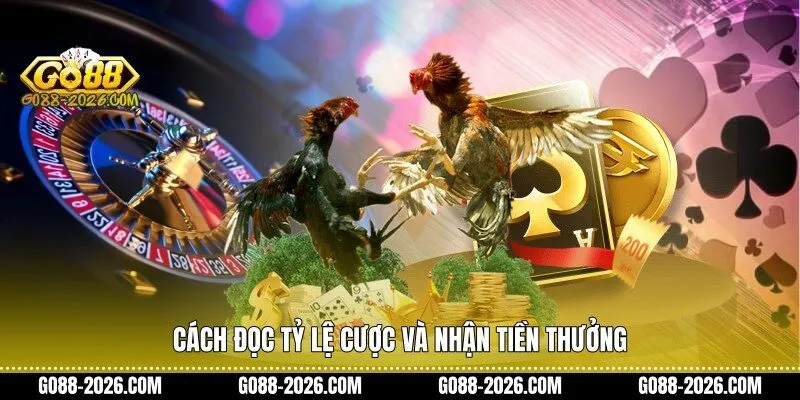 Cách đọc tỷ lệ cược và nhận tiền thưởng