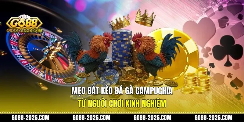 Mẹo bắt kèo đá gà campuchia từ người chơi kinh nghiệm