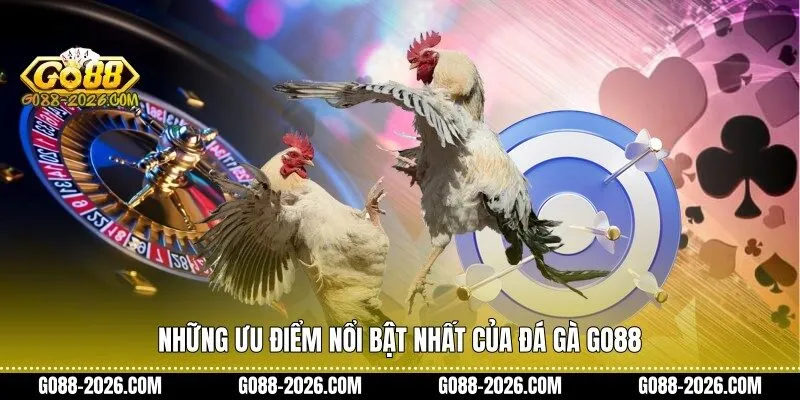 Những ưu điểm nổi bật nhất của đá gà Go88