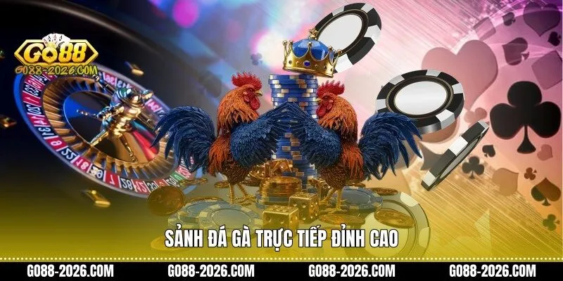 Sảnh đá gà trực tiếp đỉnh cao